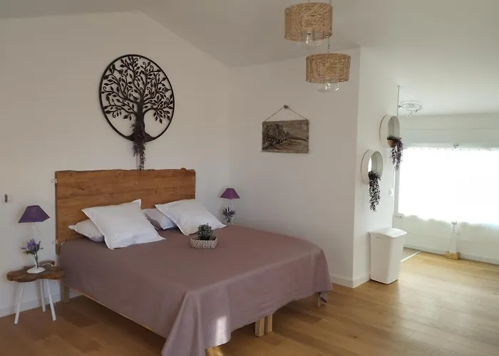 Le Des Lavandes Panoramique 4* Valensole